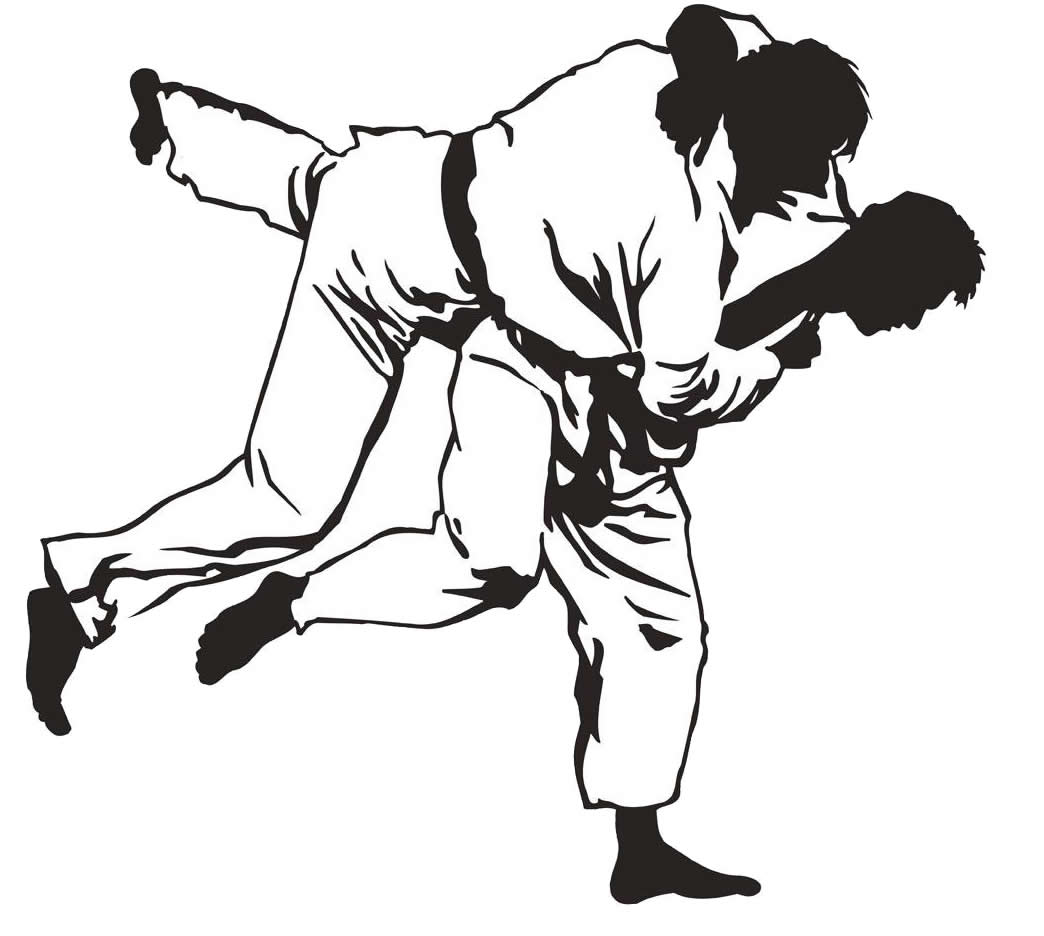 What is Jiu-Jitsu?